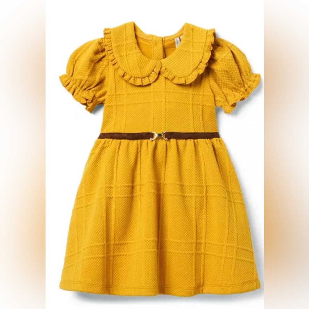 Janie and Jack The Equestrian Collared Dress NWOT